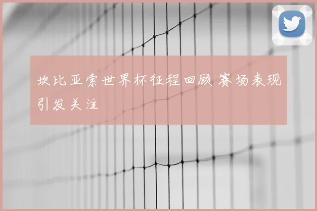 坎比亚索世界杯征程回顾 赛场表现引发关注